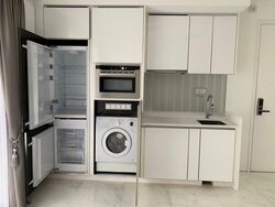 Suites @ Newton (D11), Apartment #549714611